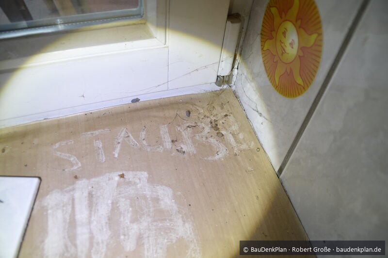 Rostbrauner Sporenstaub des Echten Hausschwamms auf Holz und Mauerwerk